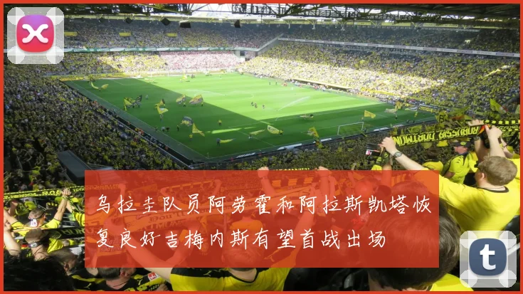 乌拉圭队员阿劳霍和阿拉斯凯塔恢复良好吉梅内斯有望首战出场